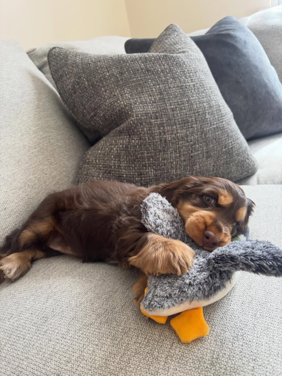 Skye