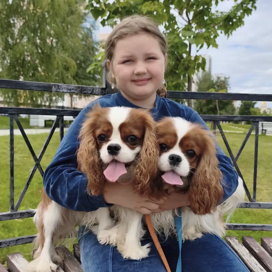 A family with their new puppy