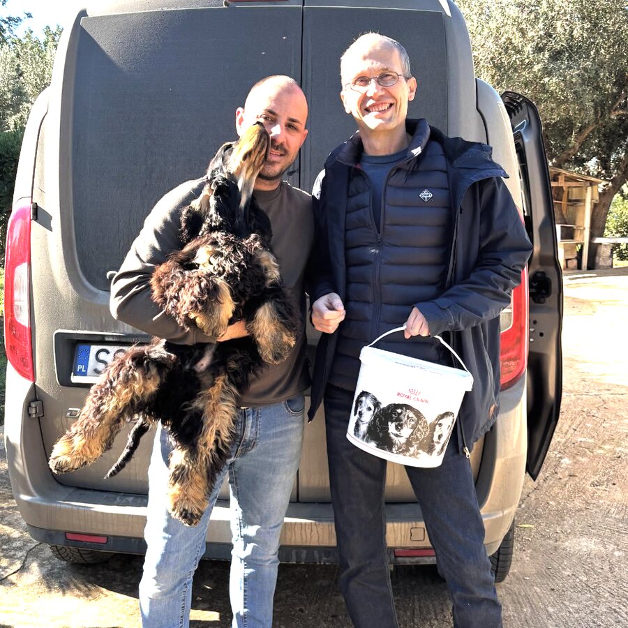 A family collecting their Cocker Spaniel puppy