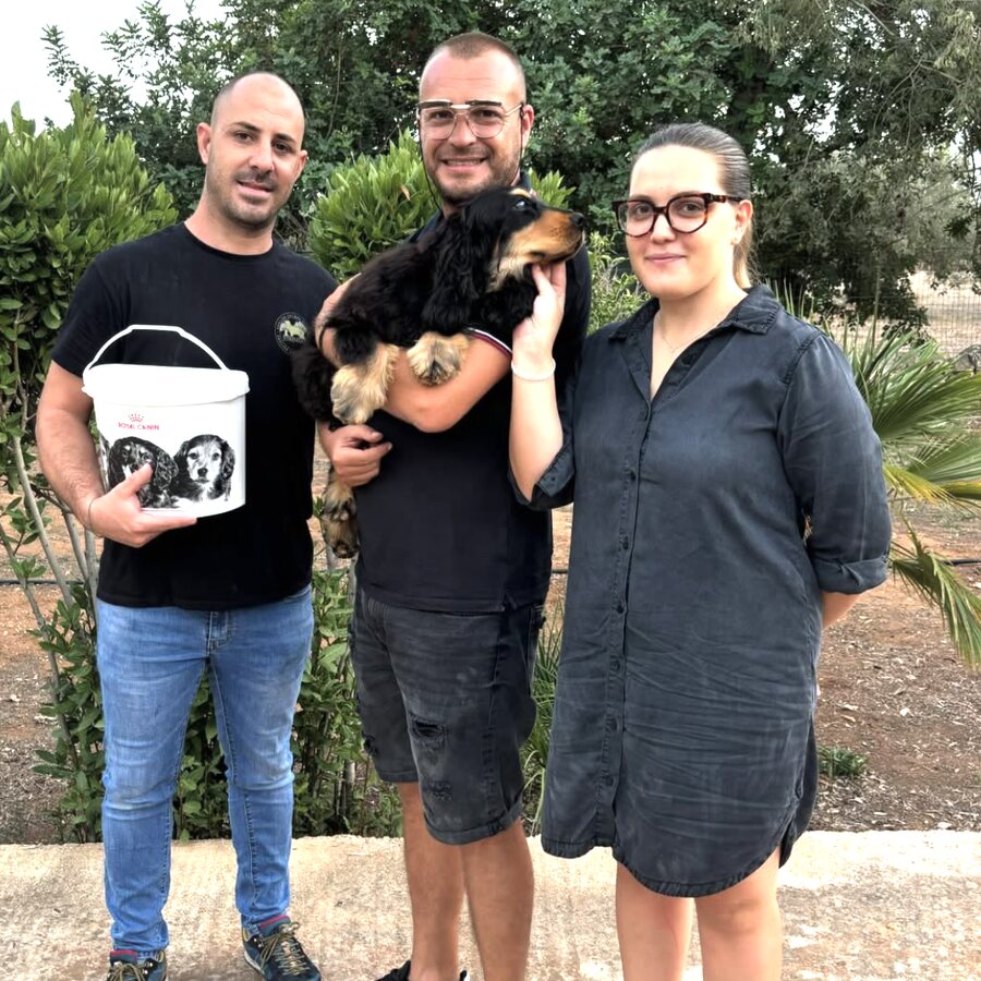 A family collecting their Cocker Spaniel puppy