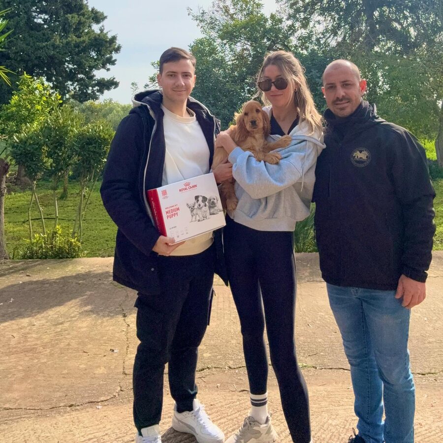 A family collecting their Cocker Spaniel puppy