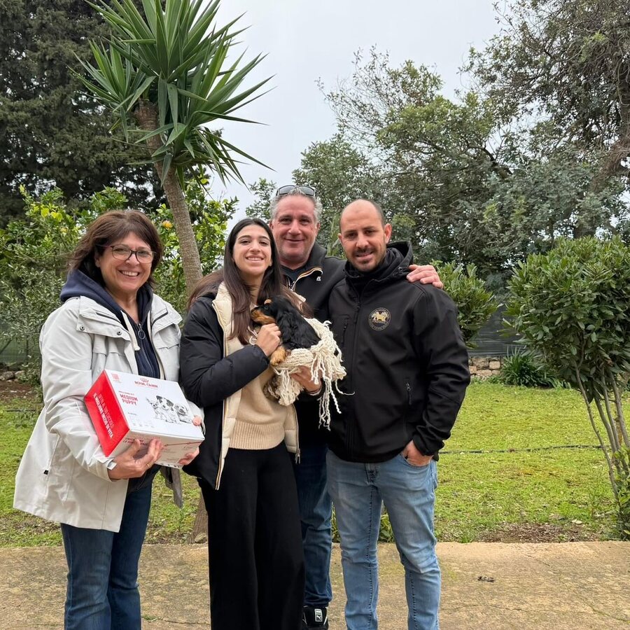 A family collecting their Cocker Spaniel puppy