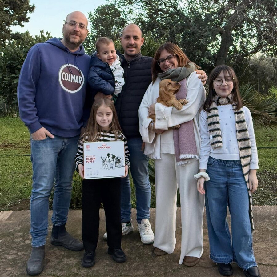 A family collecting their Cocker Spaniel puppy
